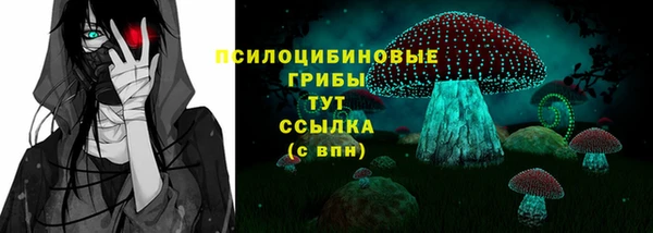бошки Кодинск