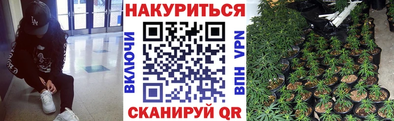 где найти   Аша  Бошки Шишки гибрид 